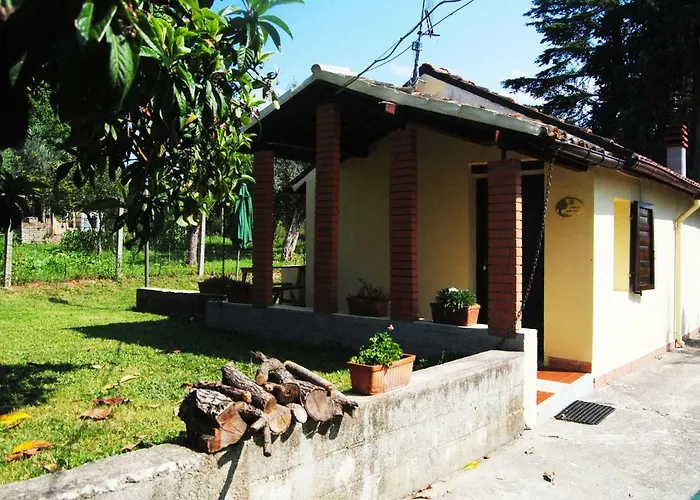 L\'Albero Delle Noci
