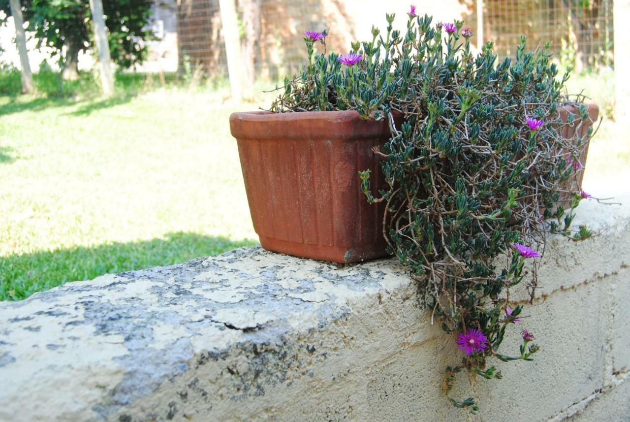 Holiday home L'albero Delle Noci *
